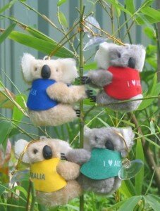 koalaclipon